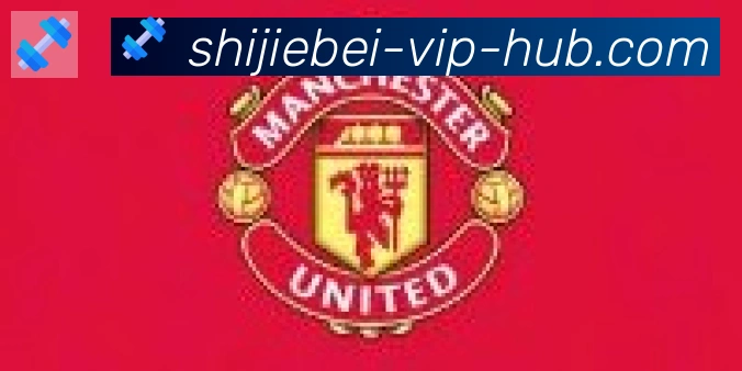 2026世界杯直播官方网站合作伙伴